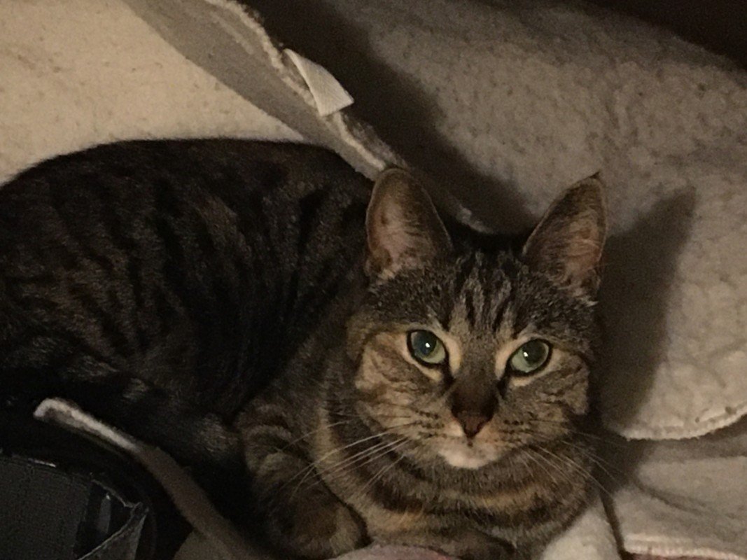 Kiki