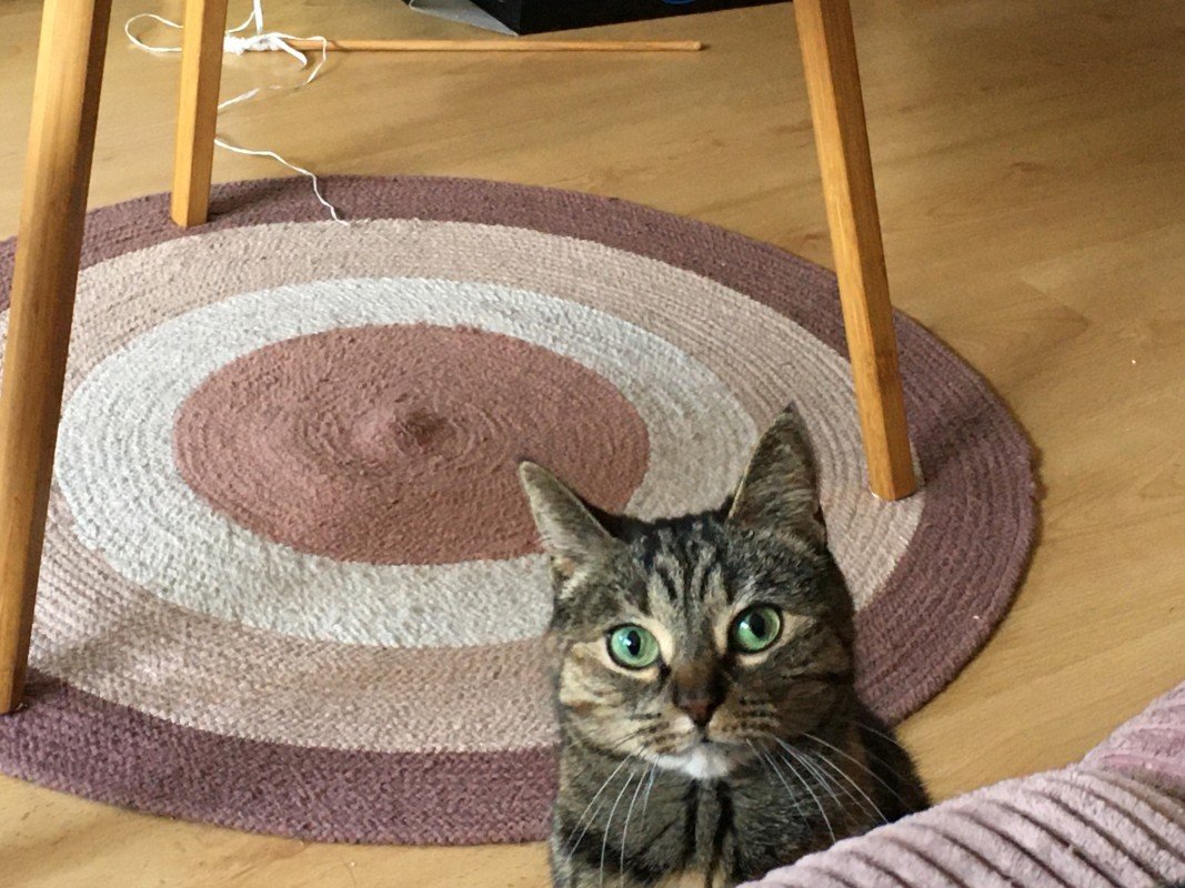 Kiki
