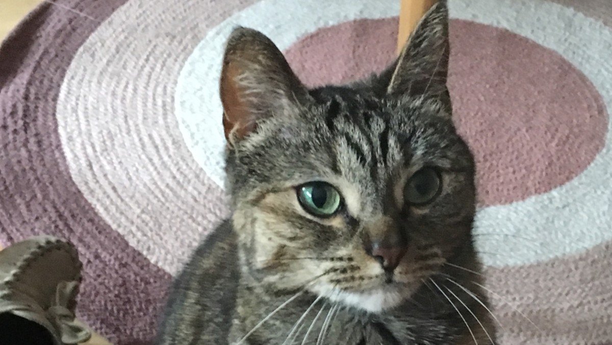 Kiki