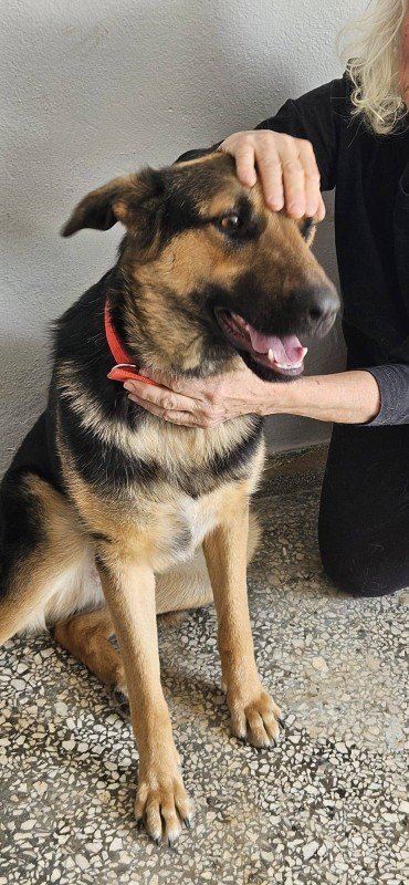 Bella