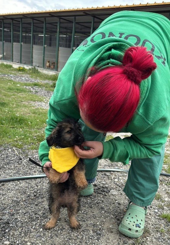 Minnie