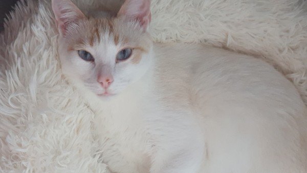 Jessy