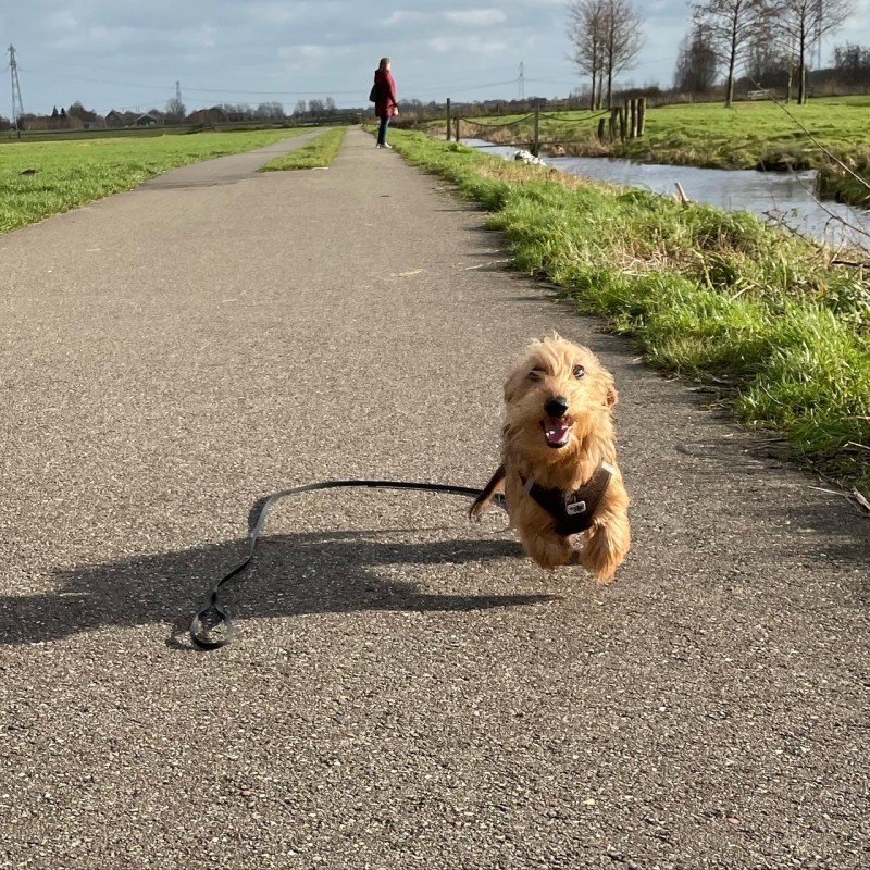 Teun