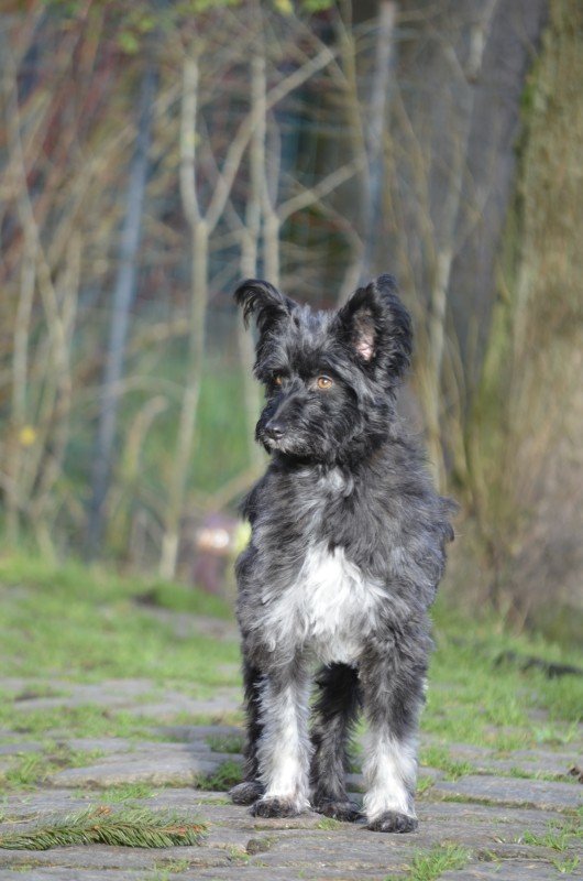 Tilly