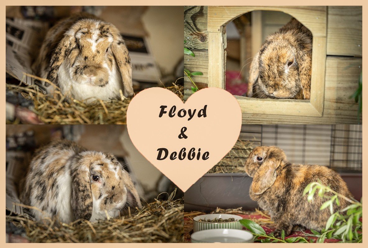 Floyd