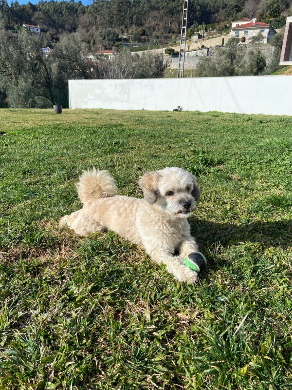 Bailey