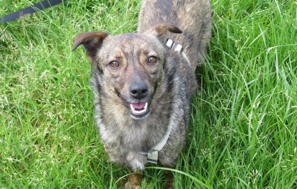 Trudy