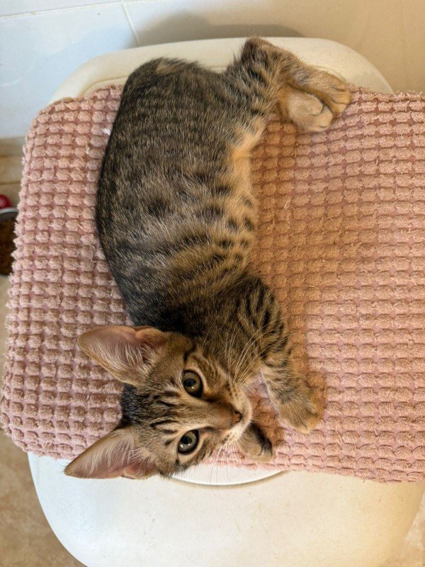 Francisco