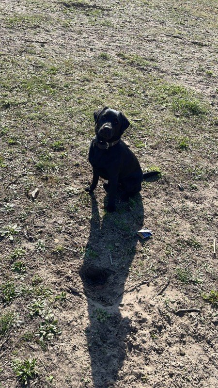 Roxy