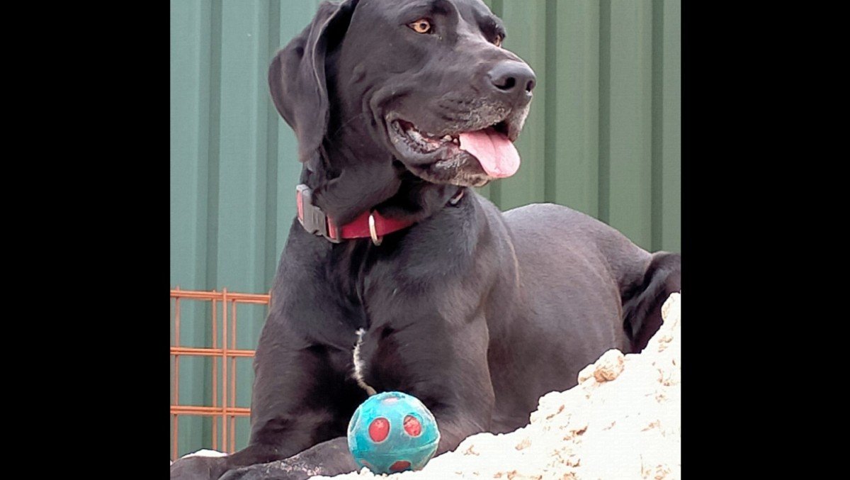 Luna
