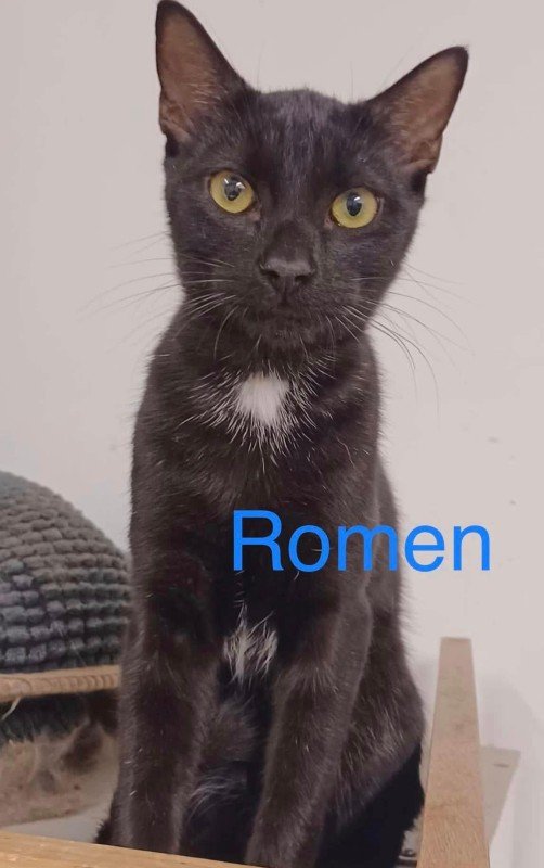 Romen