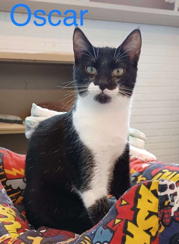 Oscar