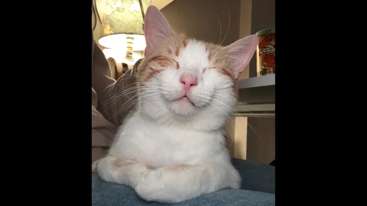 Carlos