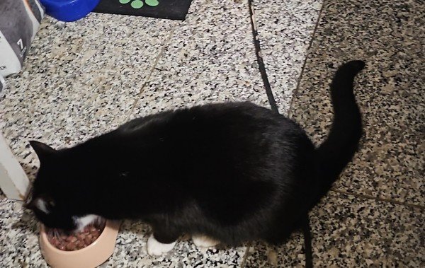 Clyde