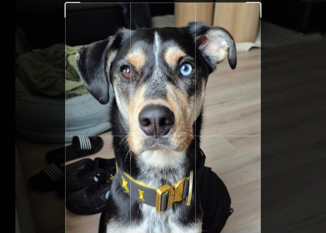 Loki