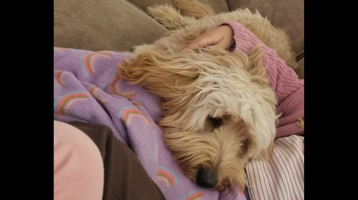 Balou