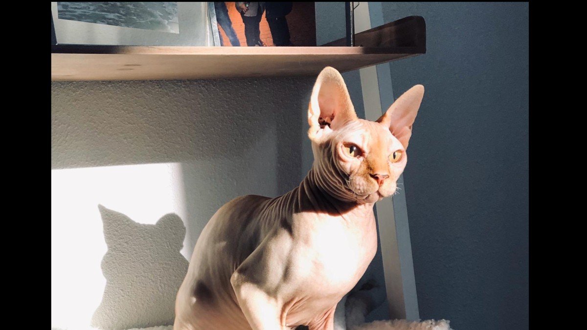 Billy