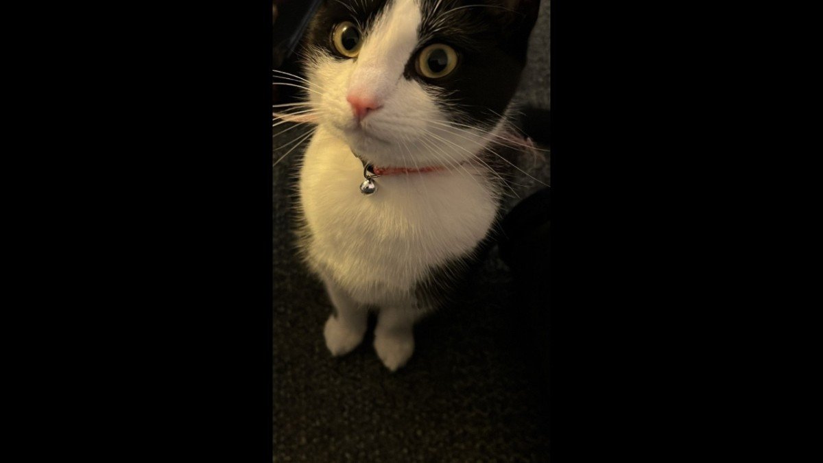 Kiki