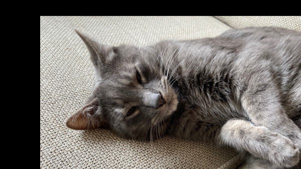 Max