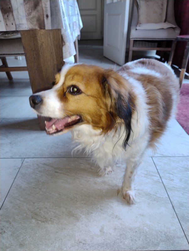 Teun