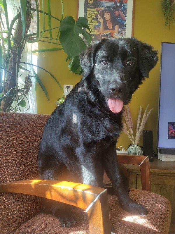 Boris