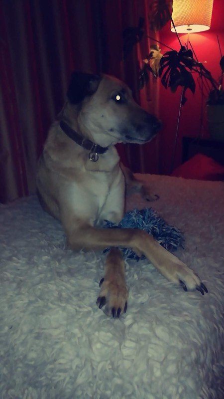 Barry
