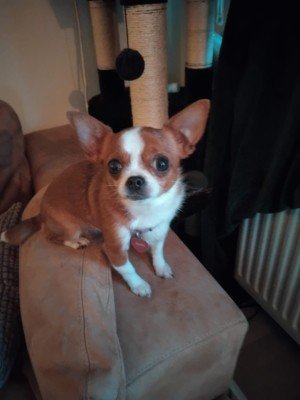 Mimi