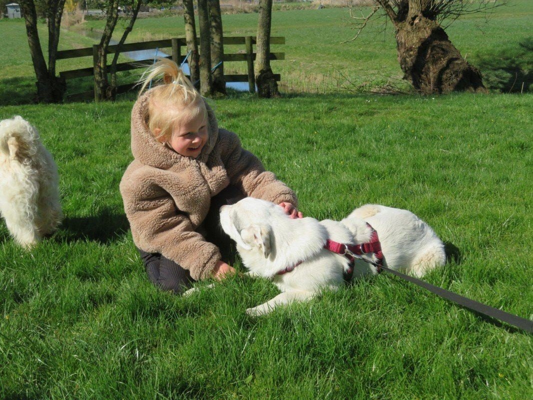 Doris
