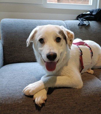 Doris
