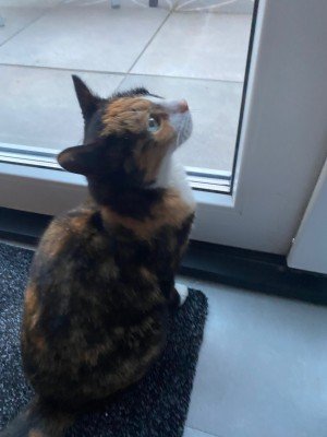 Maggie