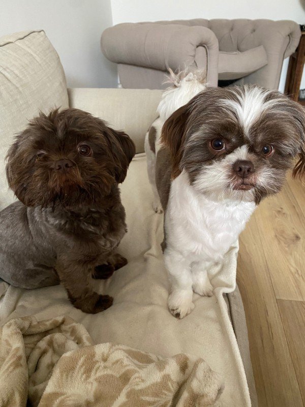 Coco