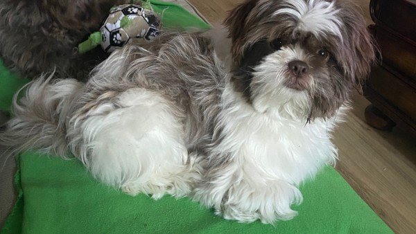 Coco
