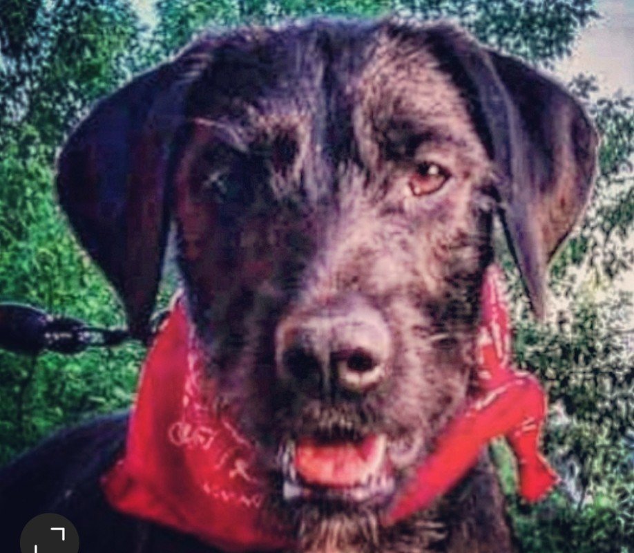 Dora