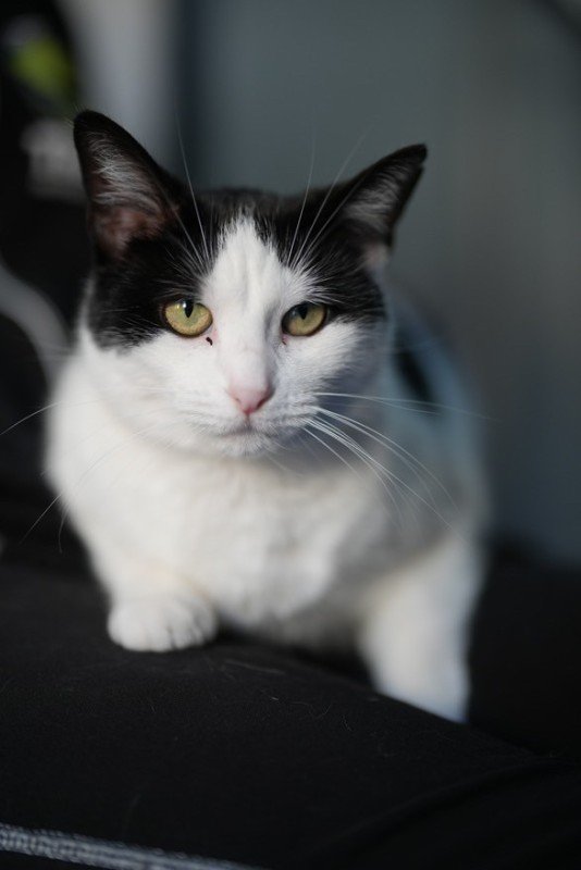 Eloise