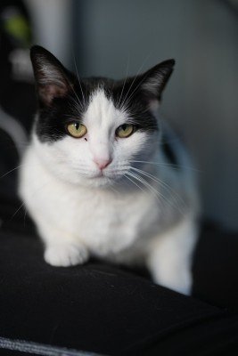 Eloise