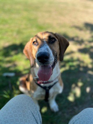 Charlie