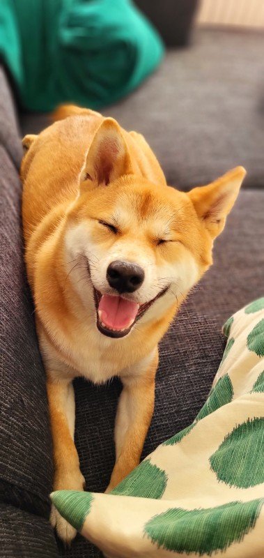 Noa