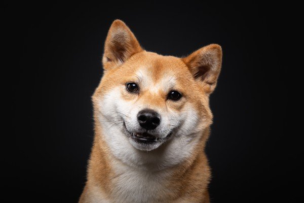 Noa