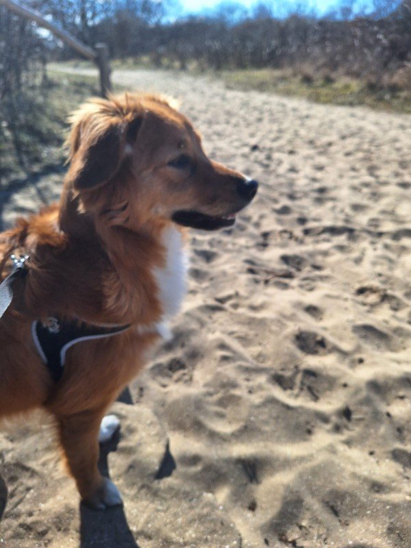 Charlie