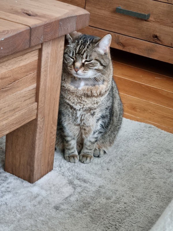Nala