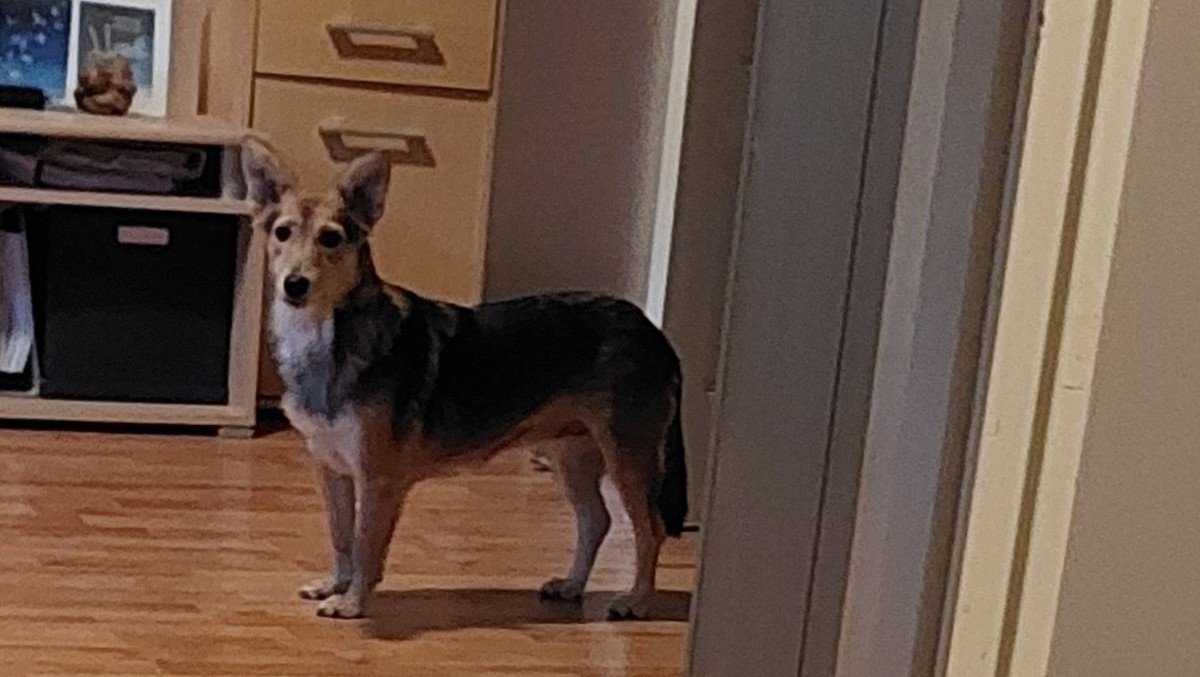 Mila
