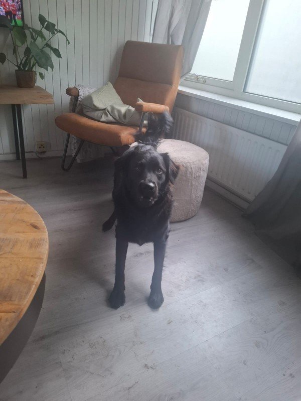 Luna