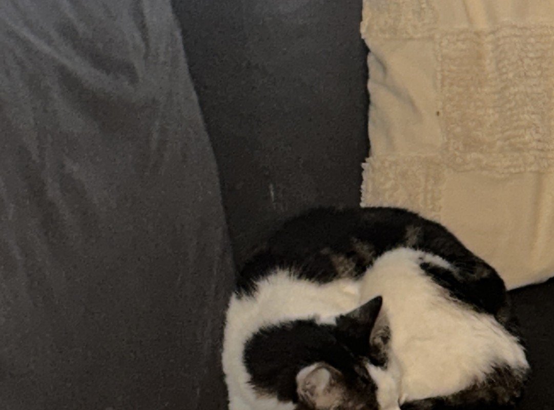 Bubba