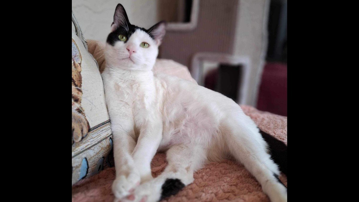 Eloise
