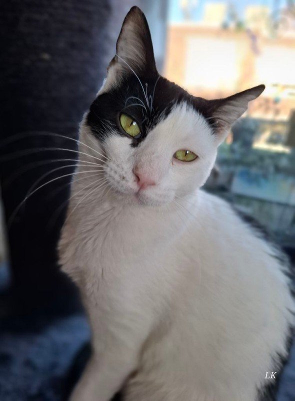 Eloise
