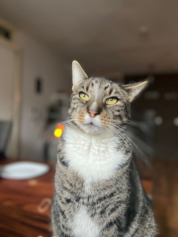 Marley