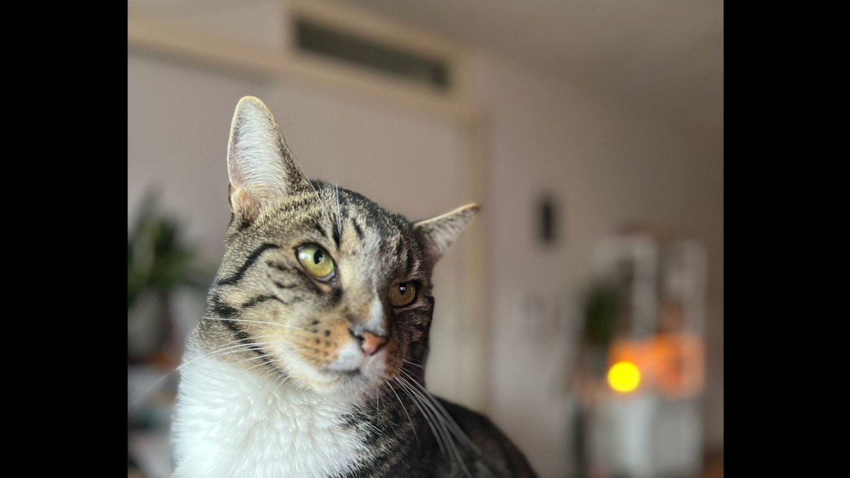 Marley