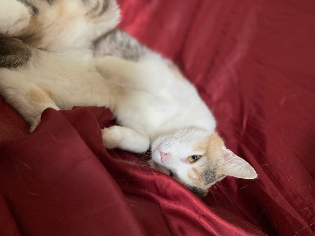 Luna
