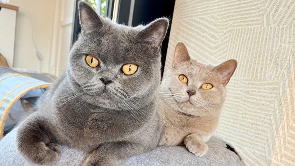 Yumos & Mia