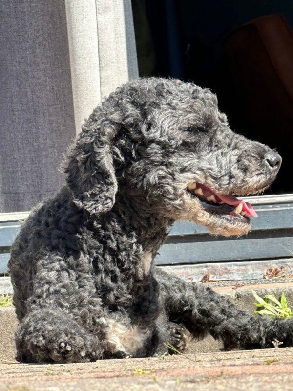 Max